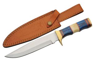 Hunting Knife | 7.25in Steel Blade Bone Brass Blue Wood Handle + Leather Sheath