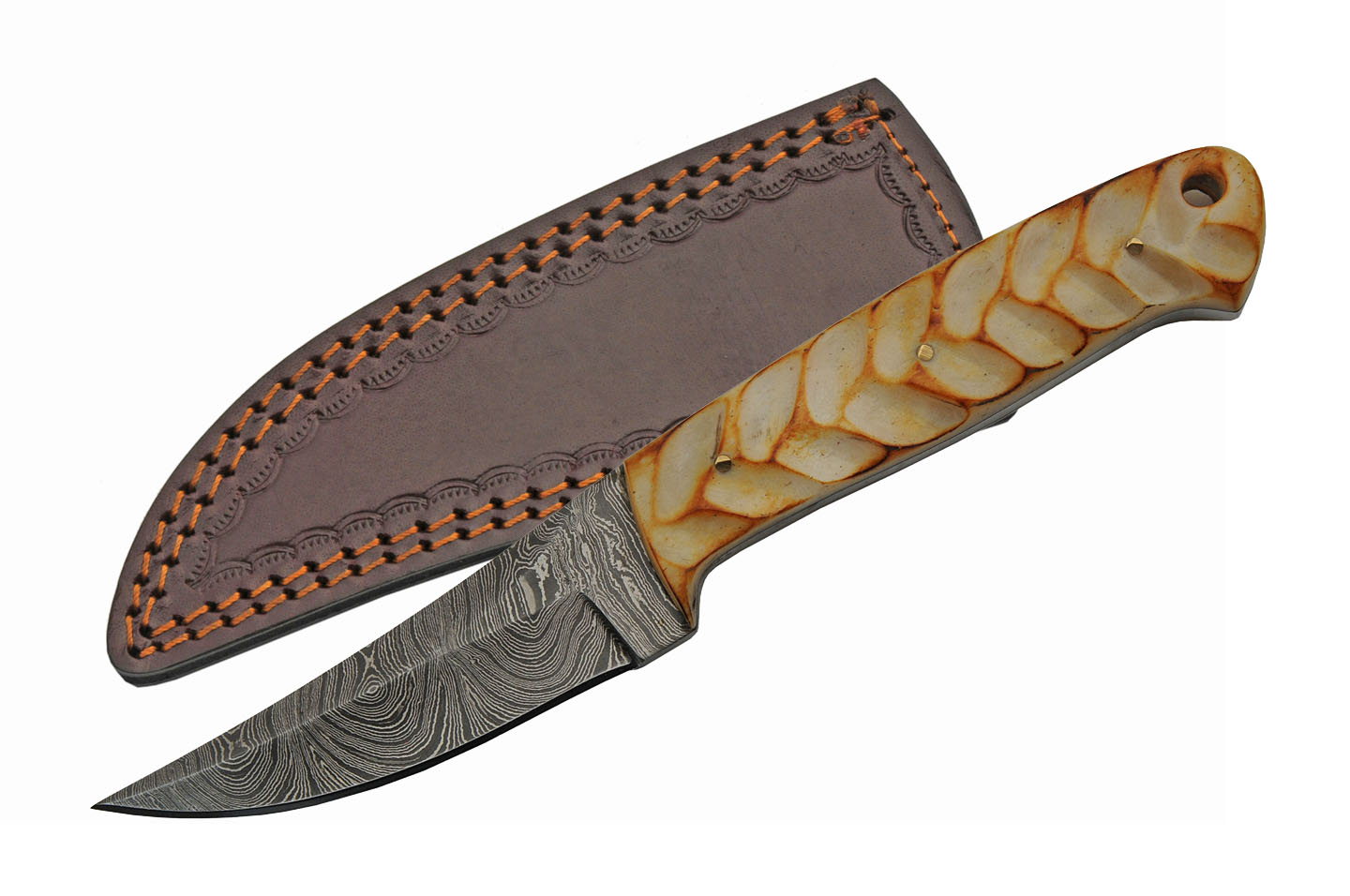 Damascus Steel Knife 8in. Genuine Burnt Bone Handle Fixed Blade Hunting Dm-1244