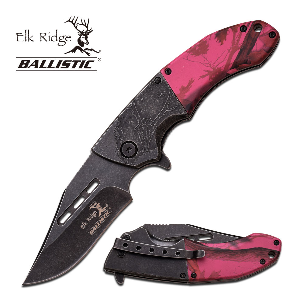  SE Spring Assisted Clip Point Folding Knife with Dark