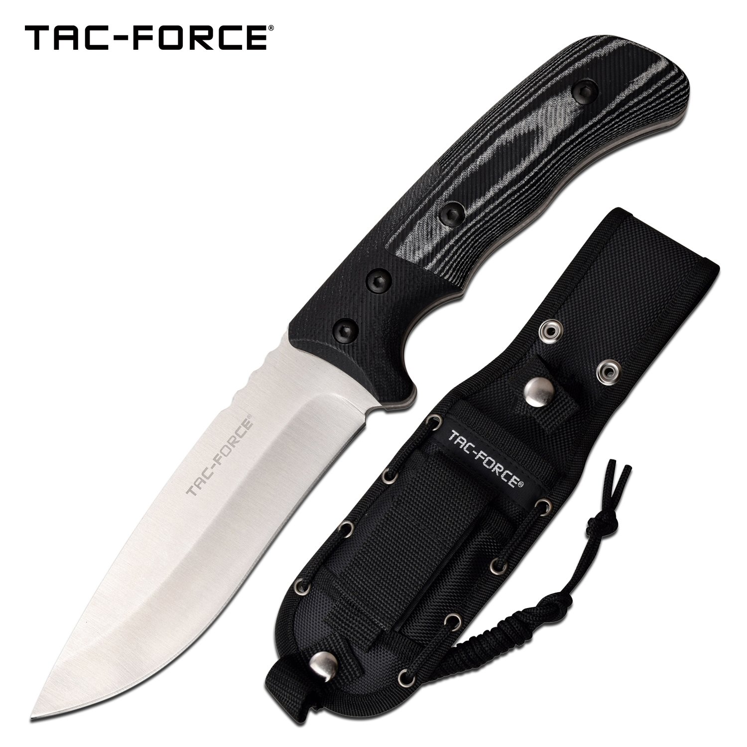 Tactical Knife 9.9in Overall Tac-Force Black Military Combat Blade + Molle Sheath