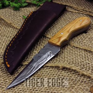 7in. Damascus Steel Spear Point, Wood Handle Hunter Skinning Knife w/ Sheath