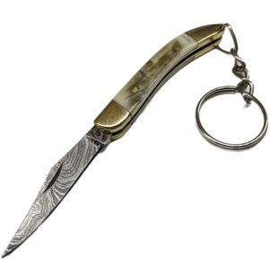 Folding Knife Mini Keychain Damascus Steel Blade Stag/Brass Handle 2.5In Closed