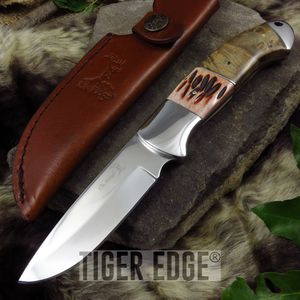 Fixed-Blade Hunting Knife | Elk Ridge Ox Bone Wood Full Tang Skinner Blade