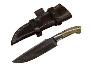 Hunting Knife Buckshot 9.25in Overall Damascus Steel Skinner Bone Handle + Sheath