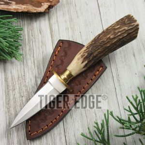 Fixed-Blade Dagger Knife | 5.25