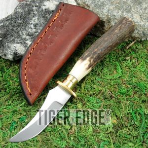 Fixed-Blade Hunting Knife 5.25in. Small Stag Horn Bone Antler Skinning Blade